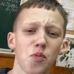 Megabebra3000
