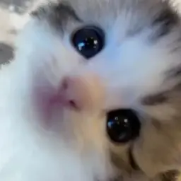 512