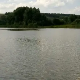 david_vasilevdd