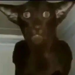 Nazgul95
