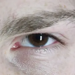ricoroma