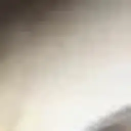 Pyroks