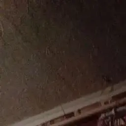 Vlad_Sadik