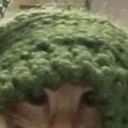 wheidif