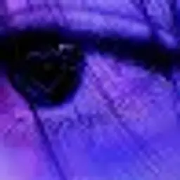 mo0n1lght