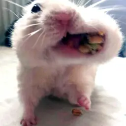 jassypikman