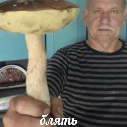 vanver11