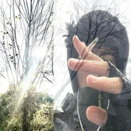 fragegang