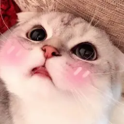 shmakchxhzg