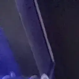 kotebumbus