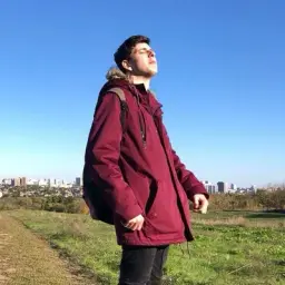 zsassf
