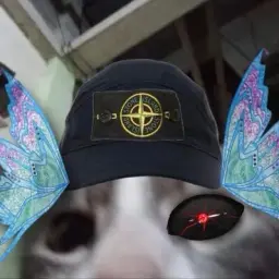danilkafnn