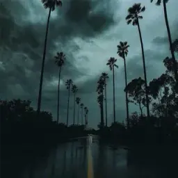 Willl_0
