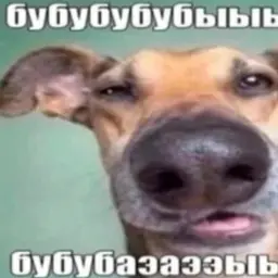 14352768