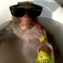 xxxxxqqqdd