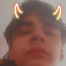 dankl_dl