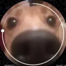 twomybby