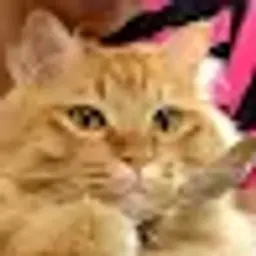 Sizao