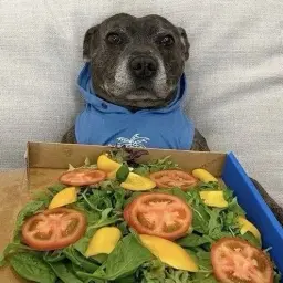 hideeeeyes