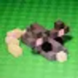 sgdfgdfg