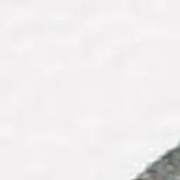 imgu4