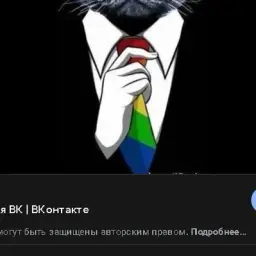 3ab1vn0y