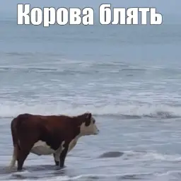 Матвеен