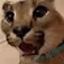 whjsv