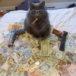 Мавр