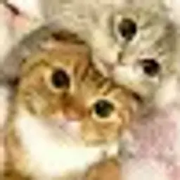 3нотркклн3ое