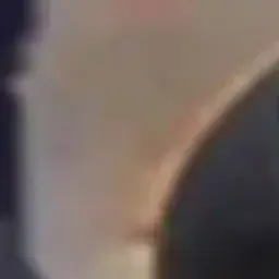 nikitasoss