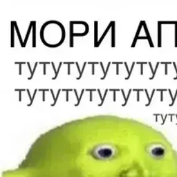xixsxs