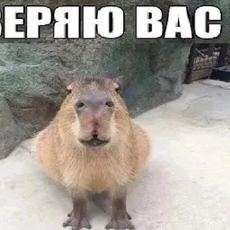 coolhacker223
