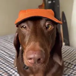 vanushaaaaa