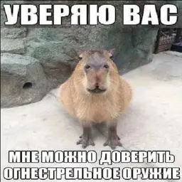 assde