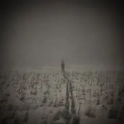 nsdkfbbr
