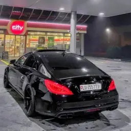 gub1