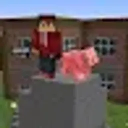 pavelseda