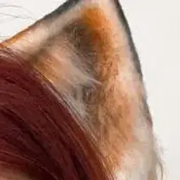 yopsel