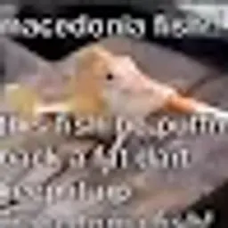 piscessw3bb