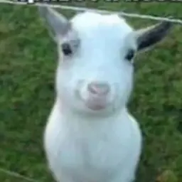 qoayxhfmewkwxyx