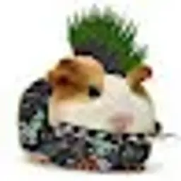 hheys