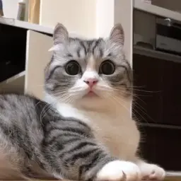 KipetPro