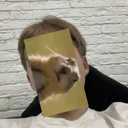 unc0verr