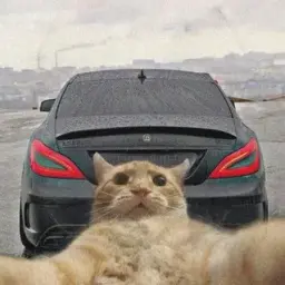 BoyarinNaIzhe