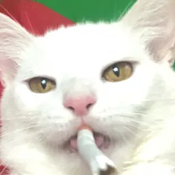Angeldemoniga