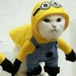 schlizogod