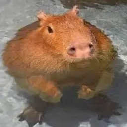 ydmyd