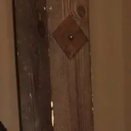mayotm