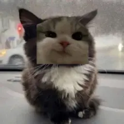 neochomka